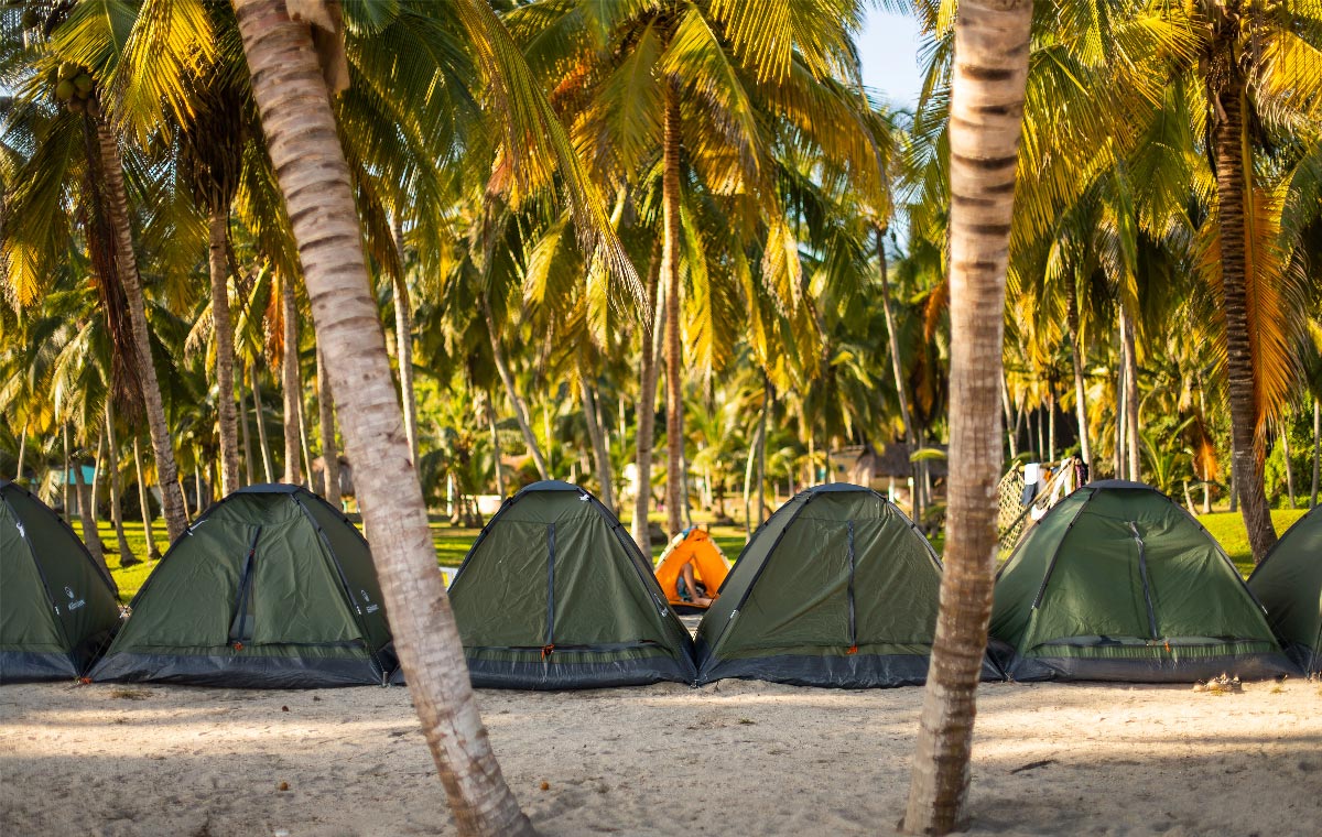 Free website template